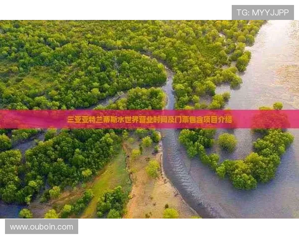 亚特兰蒂斯娱乐:打造全球知名的海底主题娱乐乐园的战略布局 亚特兰蒂斯娱乐:打造全球知名的海底主题娱乐乐园的战略布局