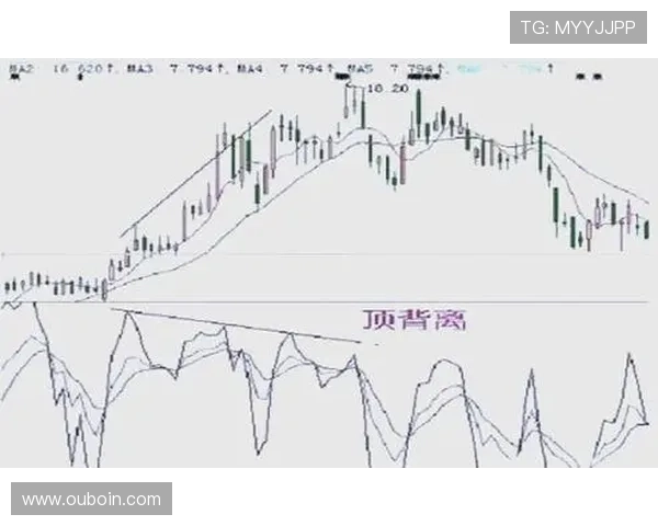 大赢家平台：实时行情分析帮助投资者把握最佳买卖时机