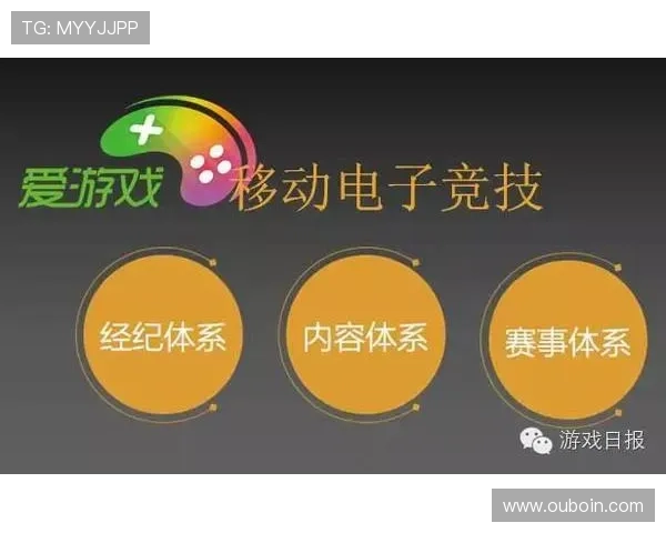 爱游戏电竞平台：专业赛事组织与丰富奖励机制激发玩家无限热情